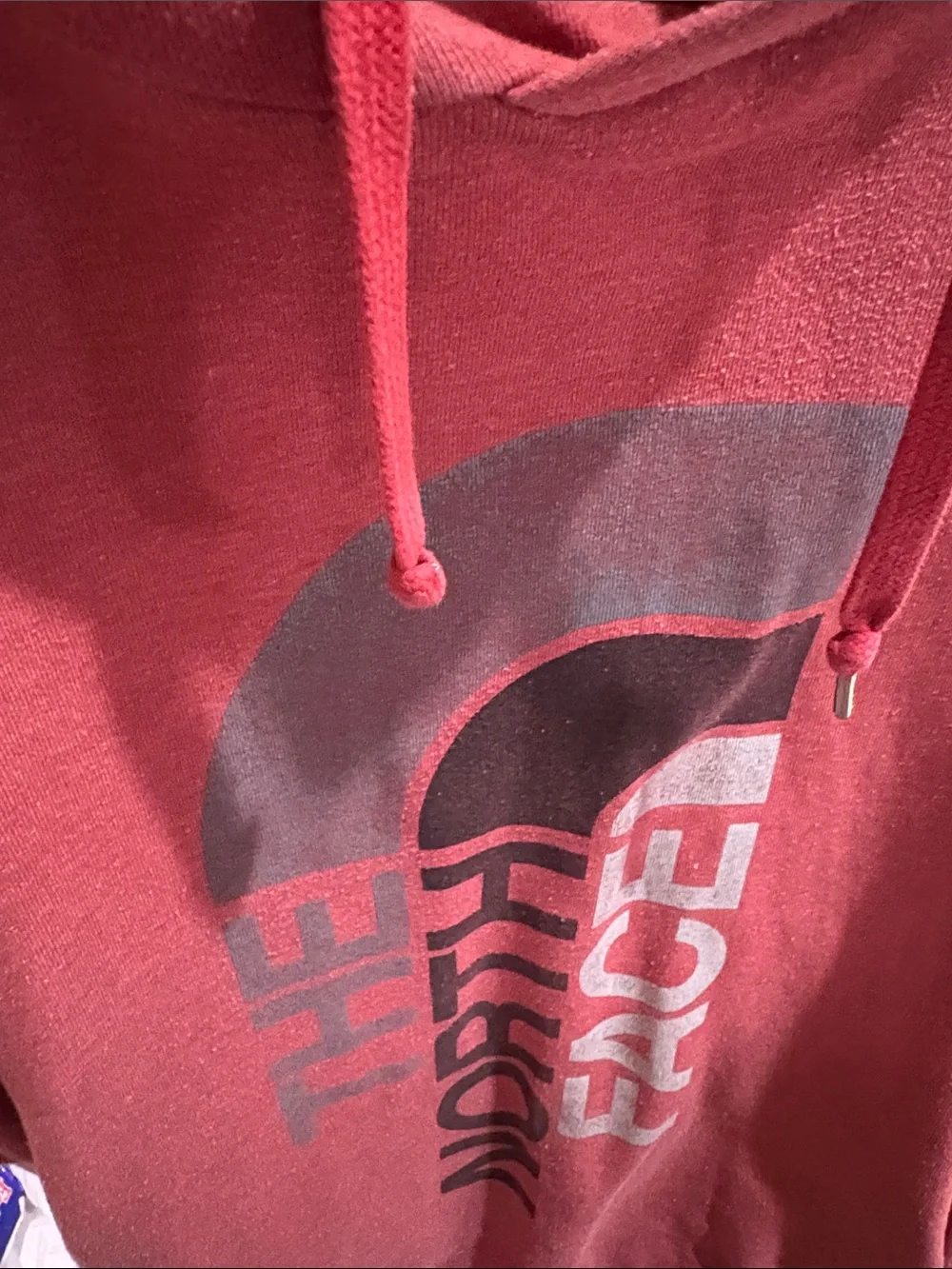 The North Face Men's Dusty Rose Pullover Hoodie